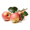 Apfel