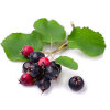 Sonstiges Obst