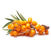 Sonstige Beeren