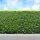Thuja Brabant 150-175cm im 25l Topf