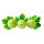 Stachelbeere BIO Hinnonmäki gelb 20-40cm