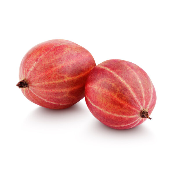 Stachelbeere Hinnonmäki rot 40-60cm