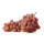 Weinrebe rosa St.Martin 60-80cm