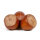 Haselnuss Webbs Preisnuss 60-80cm