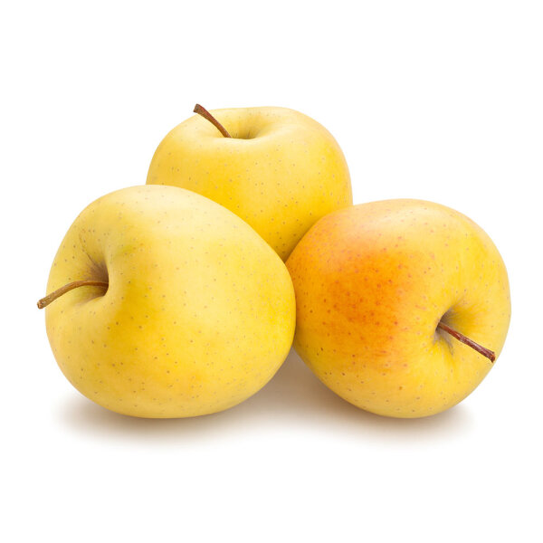 Apfel Golden Delicious Halbstamm
