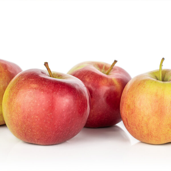 Apfel Jonagold® Halbstamm