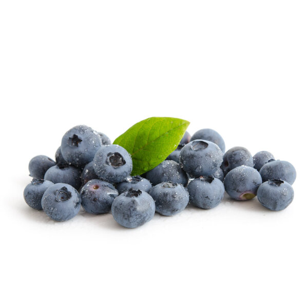 Frühe Heidelbeere Patriot 60-80cm