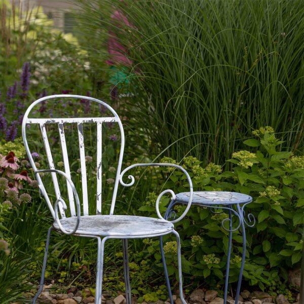 Zwerg-Rispenhortensie Little Lime® 40-50cm im C5