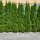 Thuja Smaragd 125-150cm am Ballen