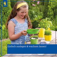 Katzengras - Saatscheibe (Inhalt: 5 Scheiben)