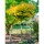 Kugel-Ginkgobaum Mariken Stammhöhe120cm im C12