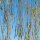 Heimische Birke 300-350cm am Ballen