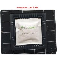 BugScents Sentry Bettwanzenmonitor 1 Stück