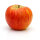 Apfel Topaz Halbstamm C10