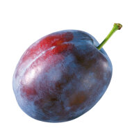 Trio-Zwetschkenbaum (The Czar / Opal / Čačaks Frühe)...