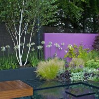 Teppich-Woll-Ziest Silver Carpet P0,5